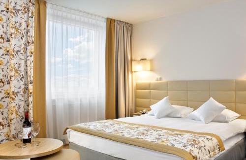 Plock Hotel | Hotel Petropol