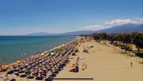 Olymbiaki Akti Hotel | Hotel Platon Beach