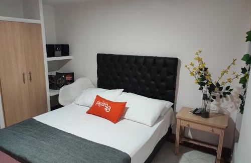 Centro Historico Hotel | Hotel Plaza 43