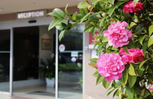 Lucciana Hotel | Hotel Poretta