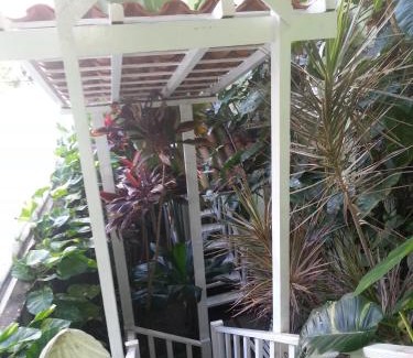 Barra Hotel | Hotel Pousada Papaya Verde