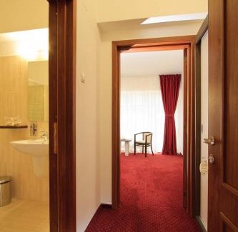 Baile Olanesti Hotel | Hotel President