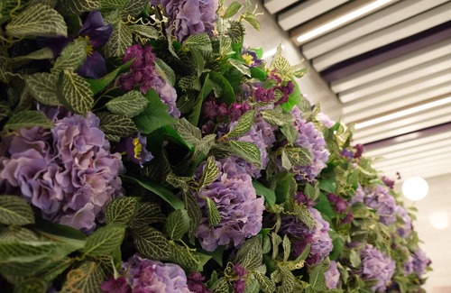 Tin Hau Hotel | Hotel Purple Hong Kong