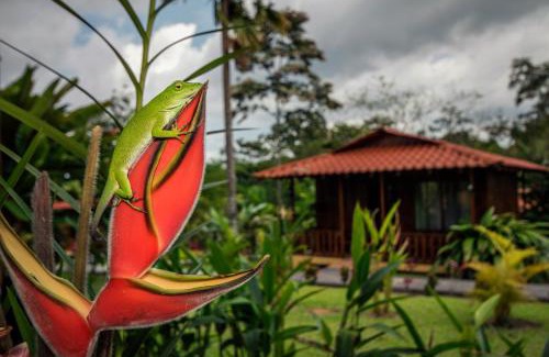 La Fortuna Hotel | Hotel Rancho Cerro Azul