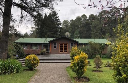 El Aguaje Cabina | Hotel Rancho Viejo