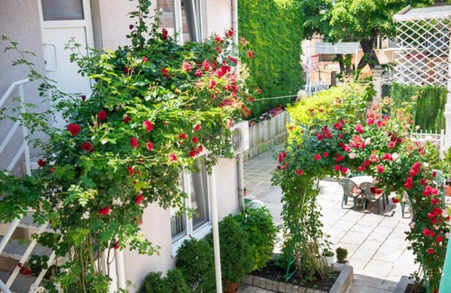 Varna City Centre Hotel | Hotel Relax