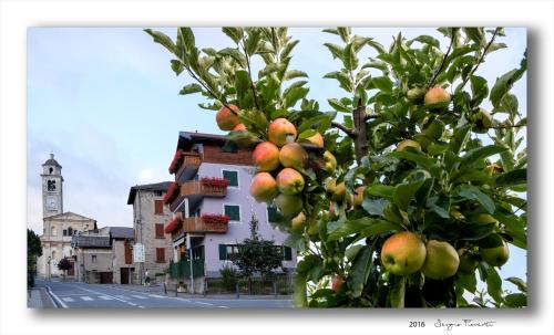 Tovo di Sant'Agata Hotel | Hotel Ristorante Franca