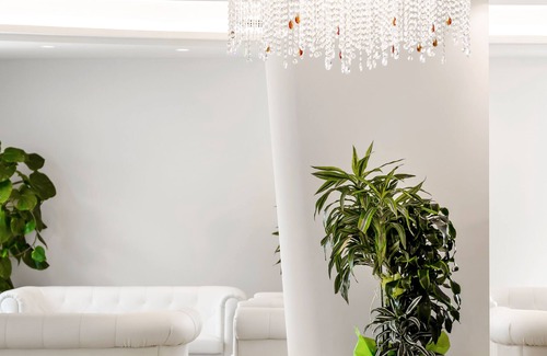 Cervia Hotel | Hotel Riviera