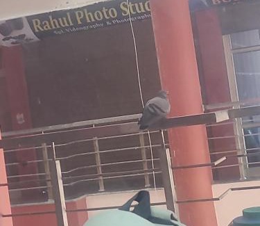 Bahadrabad Hotel | Hotel roi