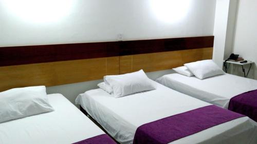 Monteria Hotel | Hotel Sama