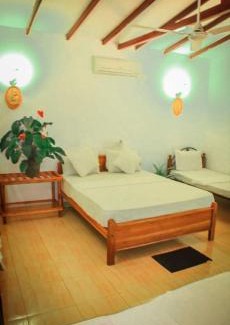 Sigiriya Casa | Hotel Samanala Sigiriya