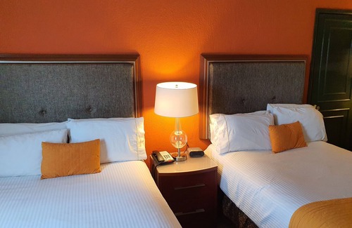 León Hotel | Hotel San Francisco Leon