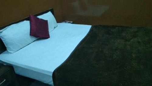 Agra Apartamento | Hotel Shyam Palace