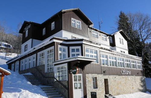 Spindleruv Mlyn Hotel | Hotel Slavie