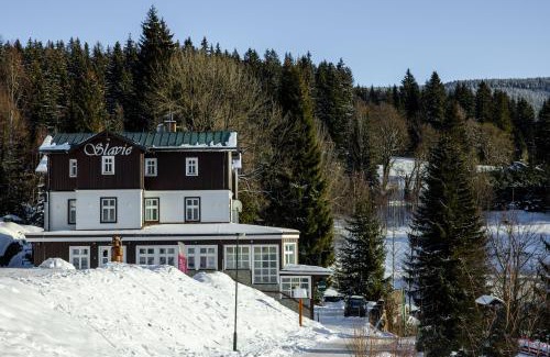 Spindleruv Mlyn Hotel | Hotel Slavie