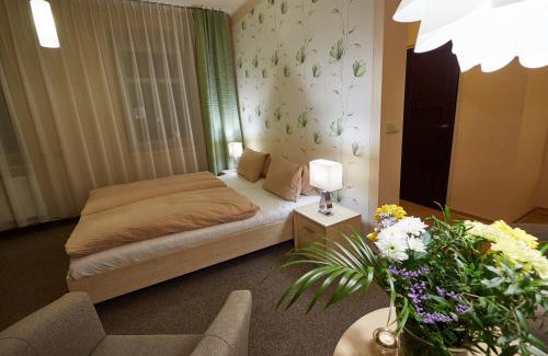 Rymarov Hotel | Hotel Slunce