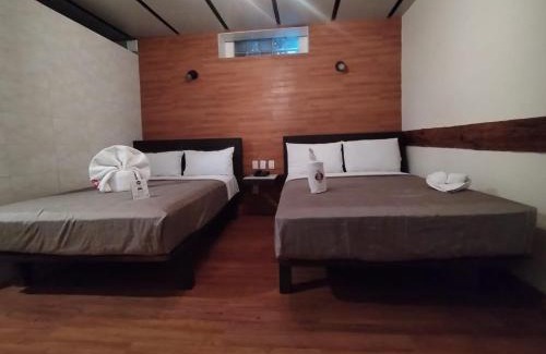 Centro histórico Hotel | Hotel Sonno Plaza Allende