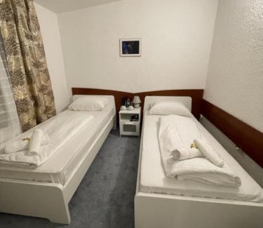 Roedelheim Hotel | Hotel Starlight