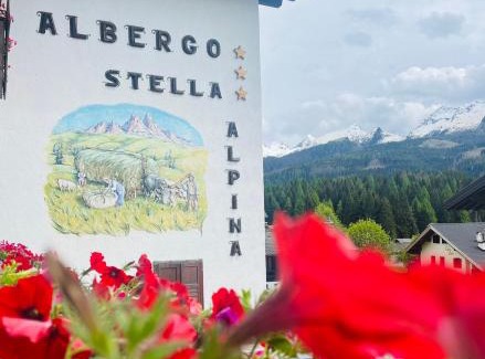 Bellamonte Hotel | Hotel Stella Alpina