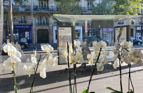 Sorbonne Hotel | Hotel Studia