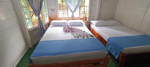 Puerto Narino Casa | Hotel Tatüane mundo Amazónico