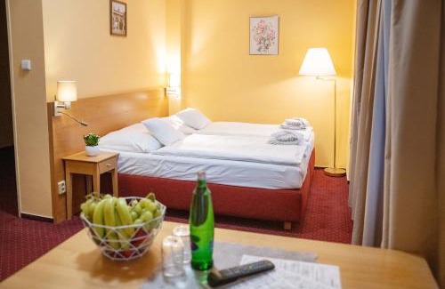Plzen Casa | Hotel U Salzmannů