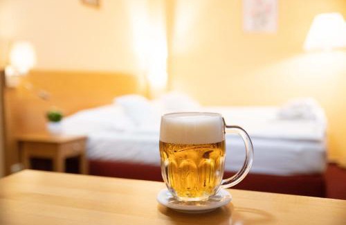 Plzen Casa | Hotel U Salzmannů