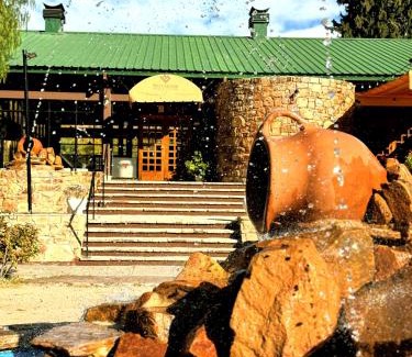 Rincon del Atuel Hotel | Hotel Valle Grande