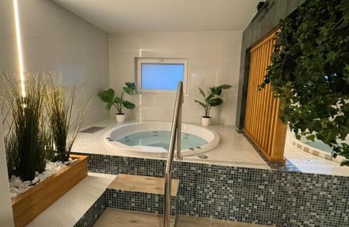 Wisla Hotel | Hotel Vestina