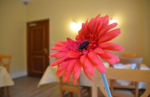 Bad Homburg v.d. Hoehe Casa | Hotel Villa Kisseleff