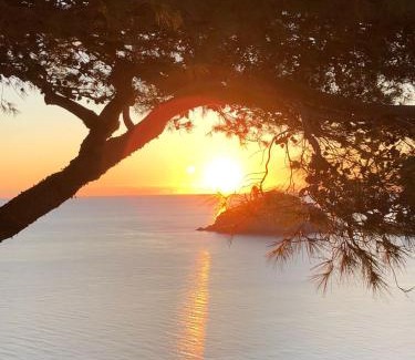 Barano d'Ischia Hotel | Hotel Villa al Mare