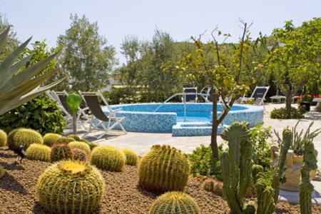 Succhivo Hotel | Hotel Villa Miralisa