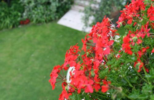 Malcesine Hotel | Hotel Villa Nadia