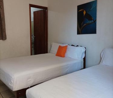 Centro Hotel | Hotel Villa Tulipanes
