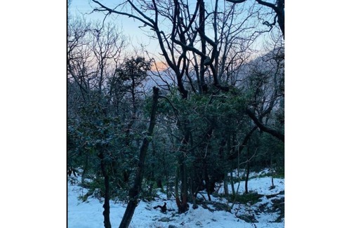 Katra Casa | Hotel Vipul Palace, Katra