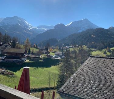 Lauenen Casa | Hotel Wildhorn