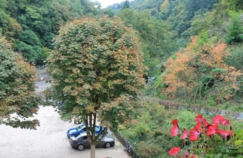 Cochem Hotel | Hotel Winneburg