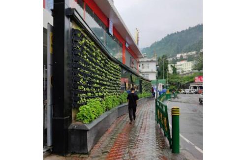 Gangtok Casa | Hotel Yatung, Gangtok
