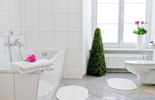 Baden Baden Old Town Hotel | Hotel Zum Goldenen Löwen
