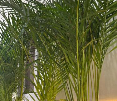 Salento Hotel | HotelTumbaga88