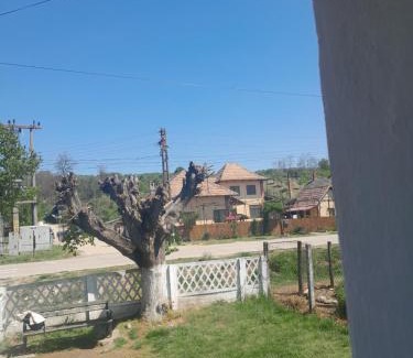 Francesti Apartamento | Hotelul din grădină lui geani