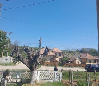 Francesti Apartamento | Hotelul din grădină lui geani
