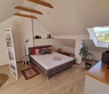 Niksic Apartamento | House 11