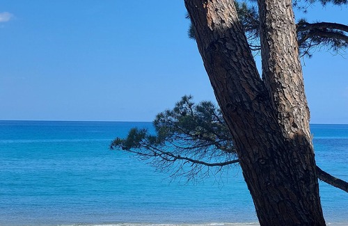 Sas Linnas Siccas Casa | Casa / villa / chalet - Orosei