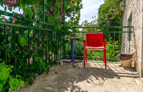 Solta Casa | House Ante