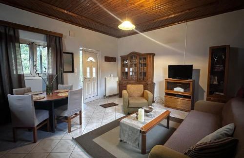 Konitsa Apartamento | House by the Mountain