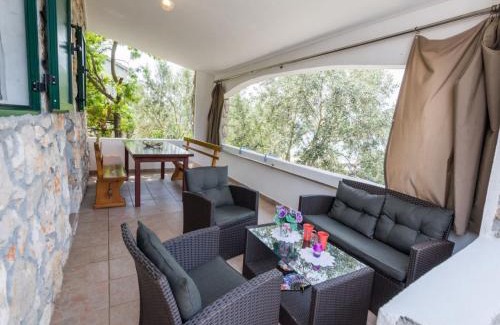 Tkon Casa | House Dino