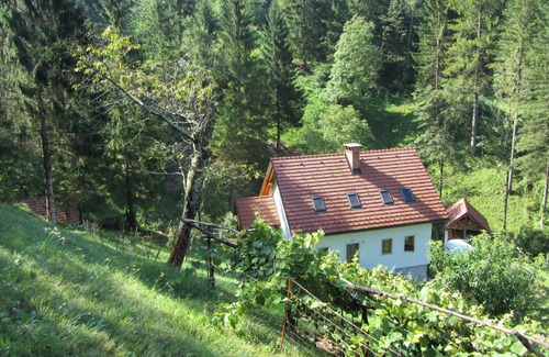 Tolmin Casa | House Dolenja Trebuša