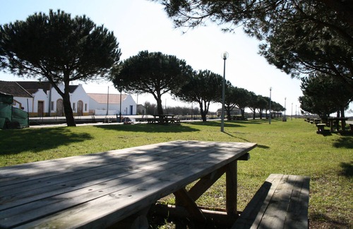 Murtosa Casa | Casa en Murtosa Ría de Aveiro, cerca de Playas