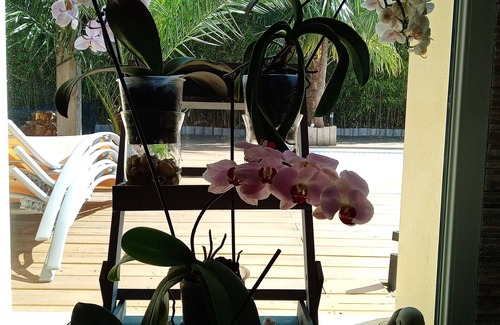 Saint-Vincent-de-Tyrosse Casa | Vrbo Property